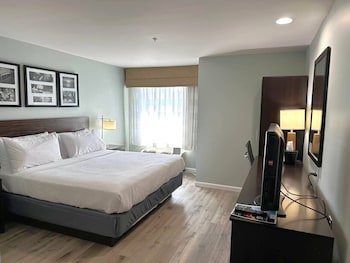 Room, 1 King Bed, Non Smoking