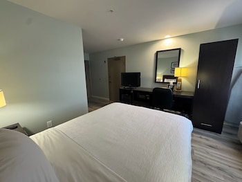 Room, 1 Queen Bed, Accessible, Non Smoking (Mobility, Roll-In Shower)