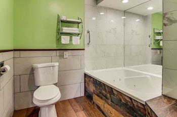 Room, 1 King Bed, Non Smoking, Partial Lake View (2-Person Whirlpool)