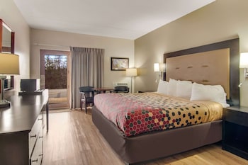 Room, 1 King Bed