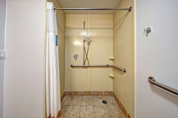 Room, 1 King Bed, Mobility Accessible, Roll-In Shower, Non Smoking