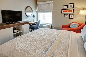 Room, 1 King Bed, Mobility Accessible, Roll-In Shower, Non Smoking