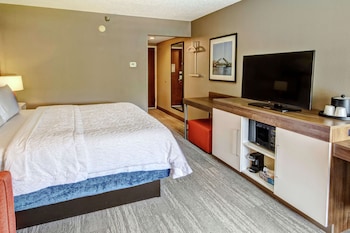 Deluxe Room, 1 King Bed, Shower Only, Non Smoking