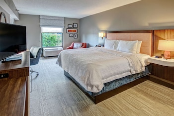 1 King Bed, Non Smoking (with Oversized Shower)
