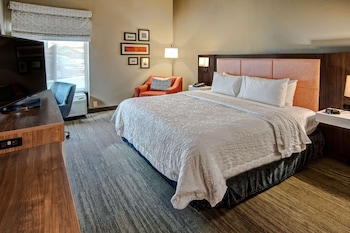 Room, 1 King Bed, Mobility Accessible, Roll-In Shower, Non Smoking
