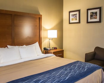 Room, 1 King Bed, Accessible, Non Smoking