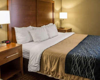 Room, 1 King Bed, Accessible, Non Smoking (Roll in Shower)