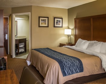 Room, 1 King Bed, Accessible, Non Smoking