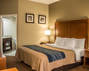 Room, 1 King Bed, Accessible, Non Smoking