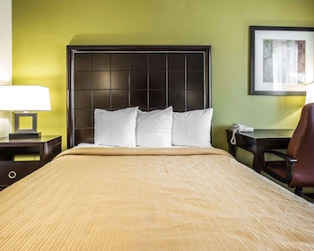 Room, 1 Queen Bed, Non Smoking