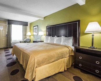 Standard Room, 1 King Bed, Non Smoking