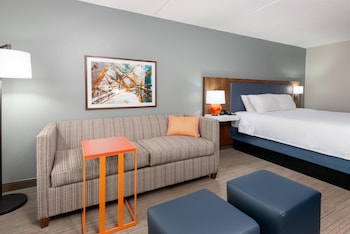 Room, 1 King Bed, Non Smoking