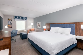 Room, 1 King Bed, Non Smoking