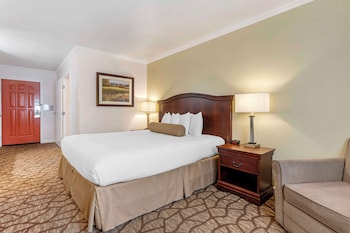 Standard Room, 1 King Bed, Accessible, Non Smoking