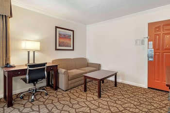 Standard Room, 1 King Bed, Non Smoking, Refrigerator & Microwave (Larger Room)