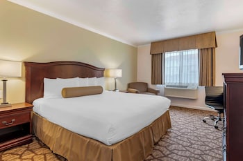 Standard Room, 1 King Bed, Accessible, Non Smoking