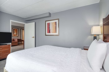 One queen bed suite non smoking