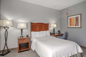 One Double Bed, Non-Smoking, Roll In Shower