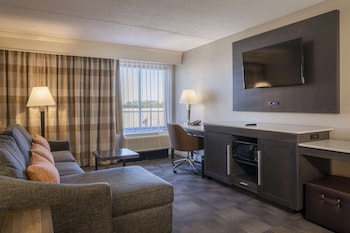 Suite, 1 King Bed with Sofa bed