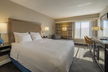 Room, 1 King Bed