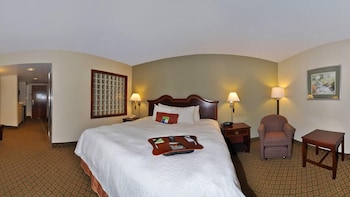 Room, 1 King Bed, Non Smoking