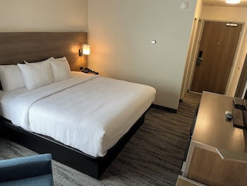 Standard Room, 1 King Bed, Non Smoking