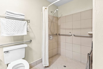 Standard Room, 1 King Bed, Accessible, Non Smoking (Walk-in Shower)