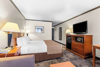 Standard Room, 1 King Bed, Non Smoking, Refrigerator & Microwave (with Sofabed)