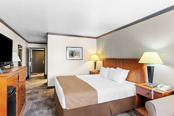 Standard Room, 1 King Bed, Accessible, Non Smoking (Walk-in Shower)