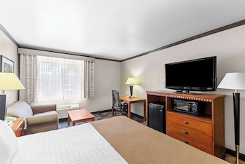 Standard Room, 1 King Bed, Accessible, Non Smoking (Walk-in Shower)