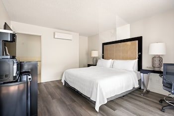 Single Room, 1 King Bed, Roll-In Shower