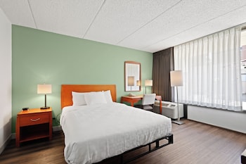 Single Room, 1 Queen Bed, Accessible (Roll-In Shower)