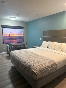 Standard Single Room, 1 King Bed, Non Smoking