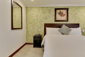 Standard Single Room, 1 King Bed, Accessible, Non Smoking