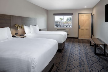 Studio Suite, 2 Double Beds, Non Smoking