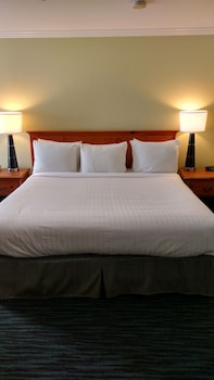 Room, 1 King Bed