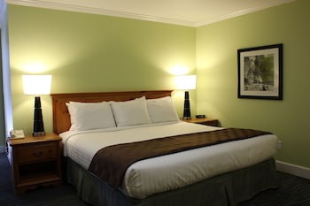 Room, 1 King Bed