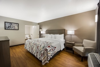 Deluxe Room, 1 King Bed, Accessible (Roll-In Shower, Smoke Free)