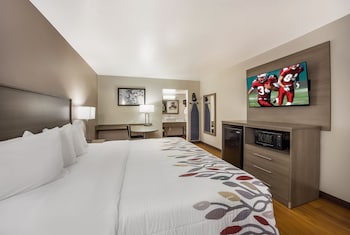 Superior Room, 1 King Bed, Ground Floor (Smoke Free)