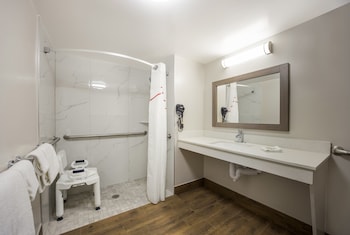 Deluxe Room, 1 King Bed, Accessible (Roll-In Shower, Smoke Free)