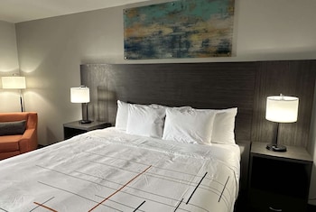 Room, 1 King Bed, Accessible, Non Smoking (Mobility/Hearing, Tub w/Grab Bars)
