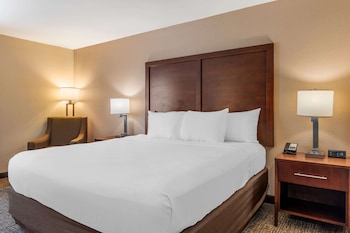 Room, 1 King Bed, Accessible, Non Smoking