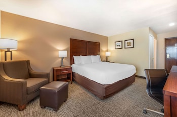 Room, 1 King Bed, Accessible, Non Smoking