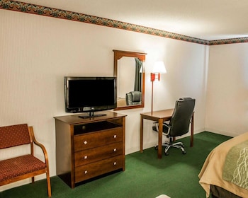 Suite, 1 King Bed with Sofa bed, Non Smoking, Jetted Tub (1 Person Sofa Bed)