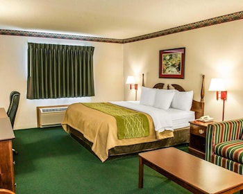 Standard Room, 1 King Bed, Non Smoking