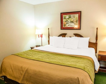 Suite, 1 King Bed with Sofa bed, Non Smoking, Jetted Tub (1 Person Sofa Bed)