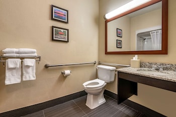 Room, 1 King Bed, Accessible, Non Smoking