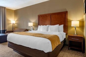 Room, 1 King Bed, Accessible, Non Smoking