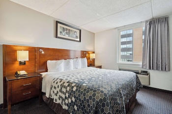 Room, 1 King Bed, Non Smoking