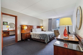 Room, 1 King Bed, Non Smoking